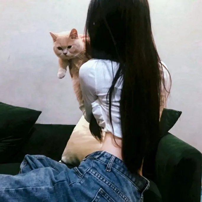 大豆田永久子与三名前夫 在线观看