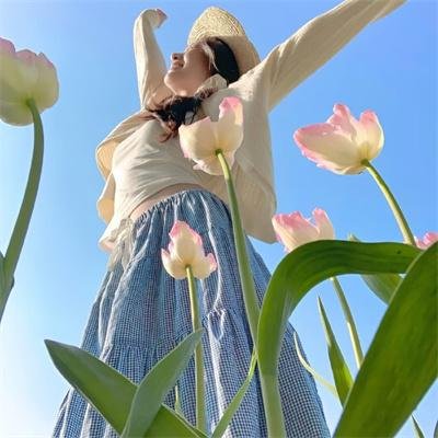 英雄虎胆 在线观看